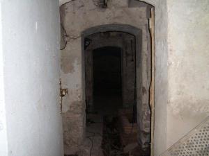123